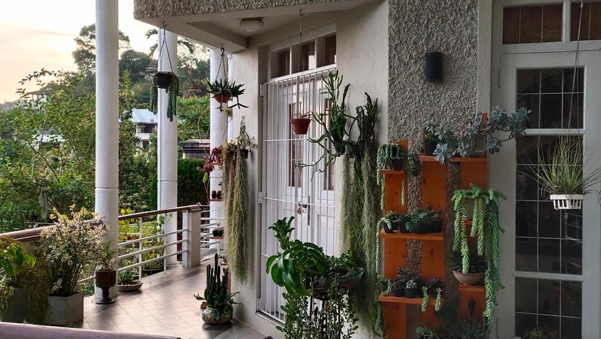 Marvel Hills Kandy Exterior photo